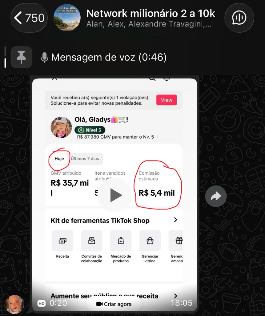 Performance no TikTok Shop com GMV e comissão estimada